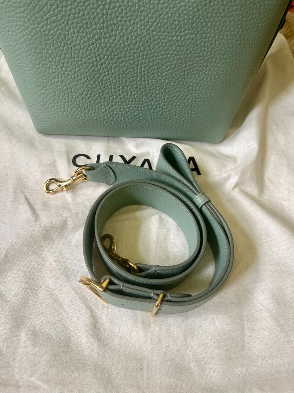 CUYANA Linea Bucket Bag in Mint, Pebbled Leather Tote Purse - Picture 3 of 9